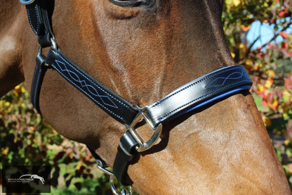 Kentaur ’Coloured’ Leather Halter Halters &amp; Flyveils