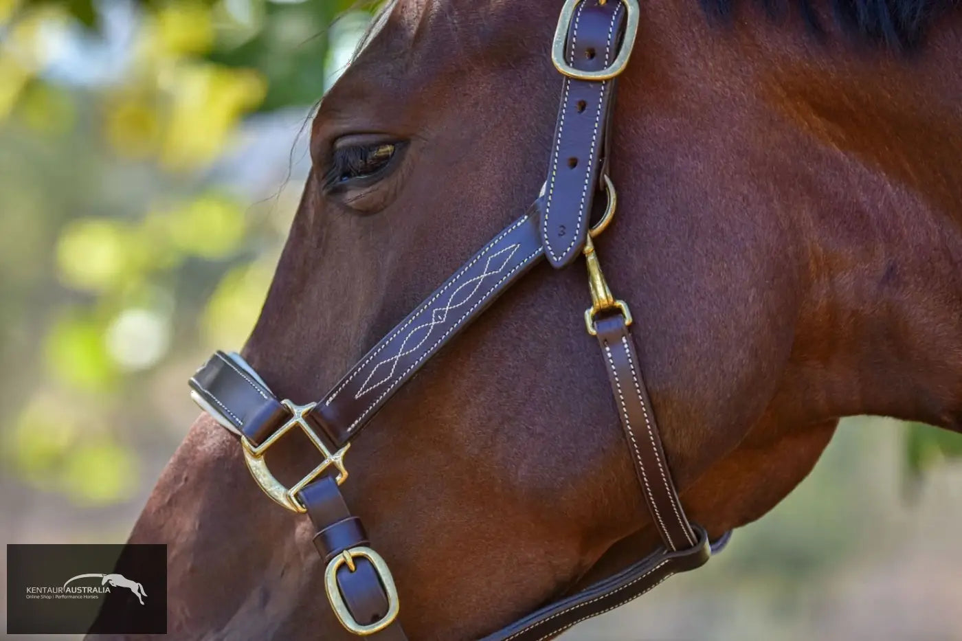 Kentaur ’Coloured’ Leather Halter Halters &amp; Flyveils