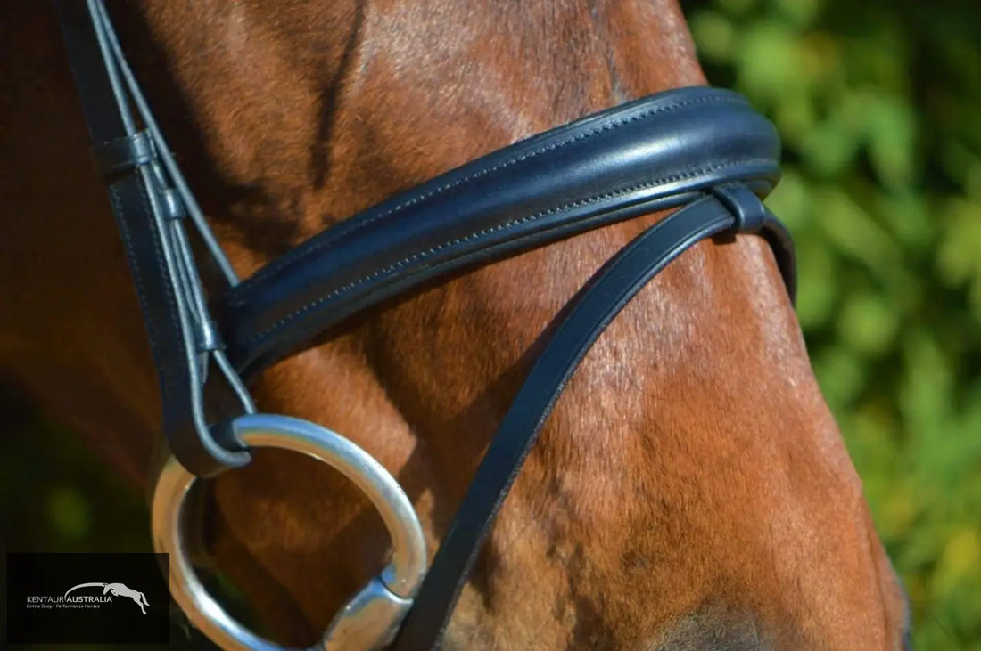 Kentaur Hanoverian Bridle With Chain Link Browband Bridles