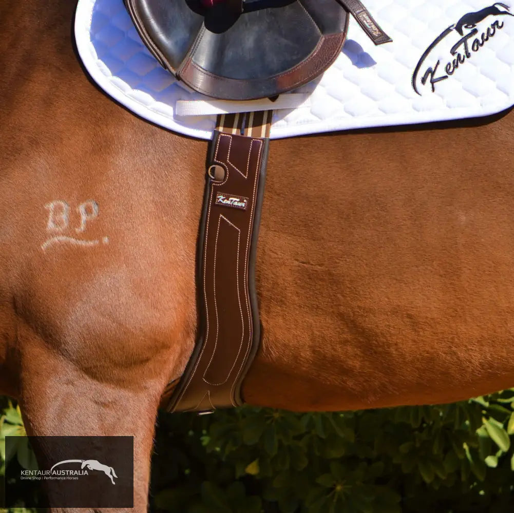 Kentaur Dijon Girth Dark Brown / 100 Saddle Accessories