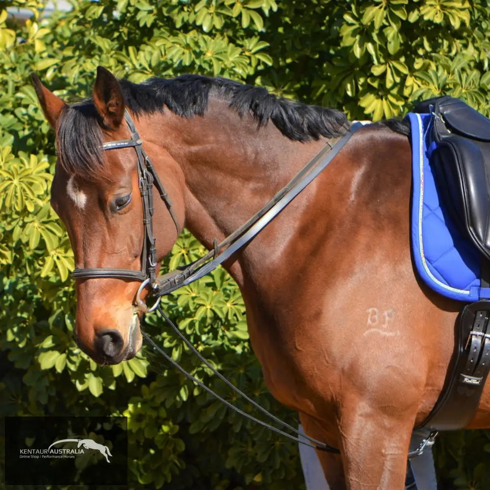 Kentaur Draw Reins With Rope Training Aids