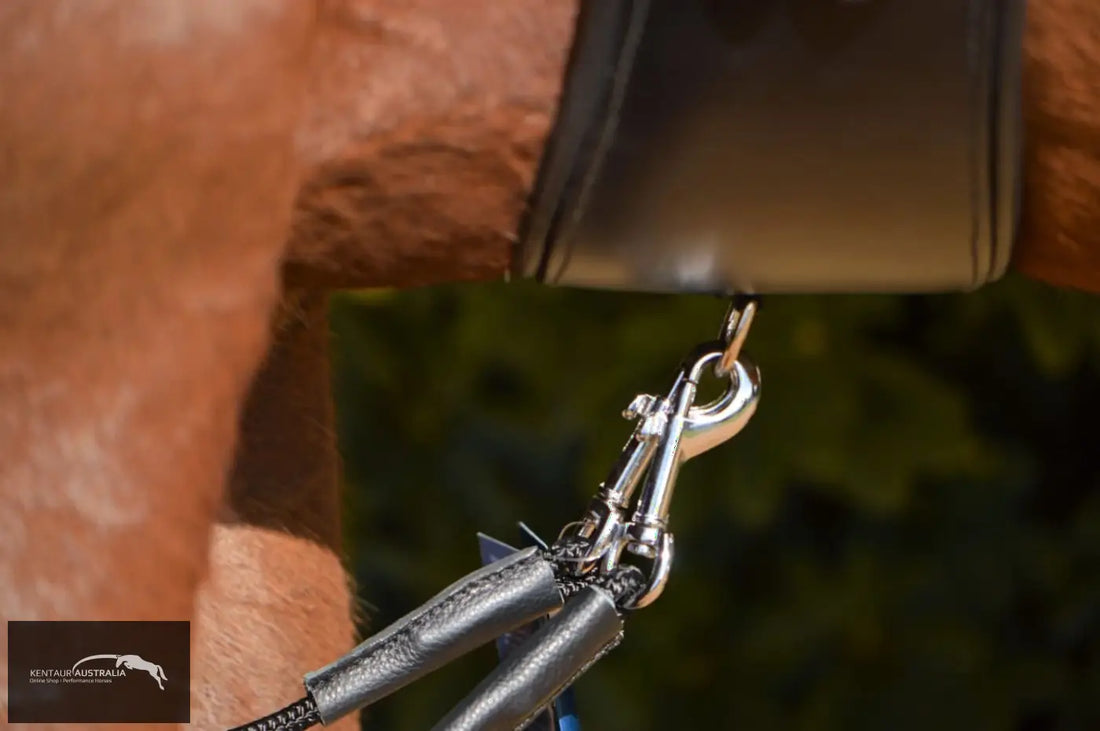Kentaur Draw Reins With Rope Training Aids