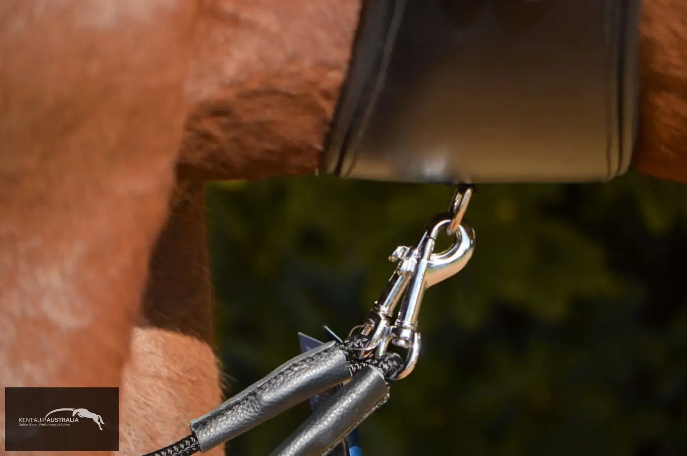 Kentaur Draw Reins With Rope Training Aids