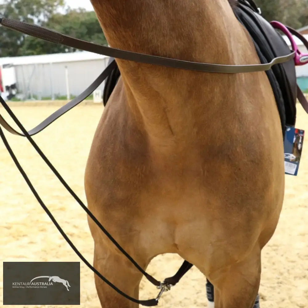 Kentaur Draw Reins With Rope Training Aids