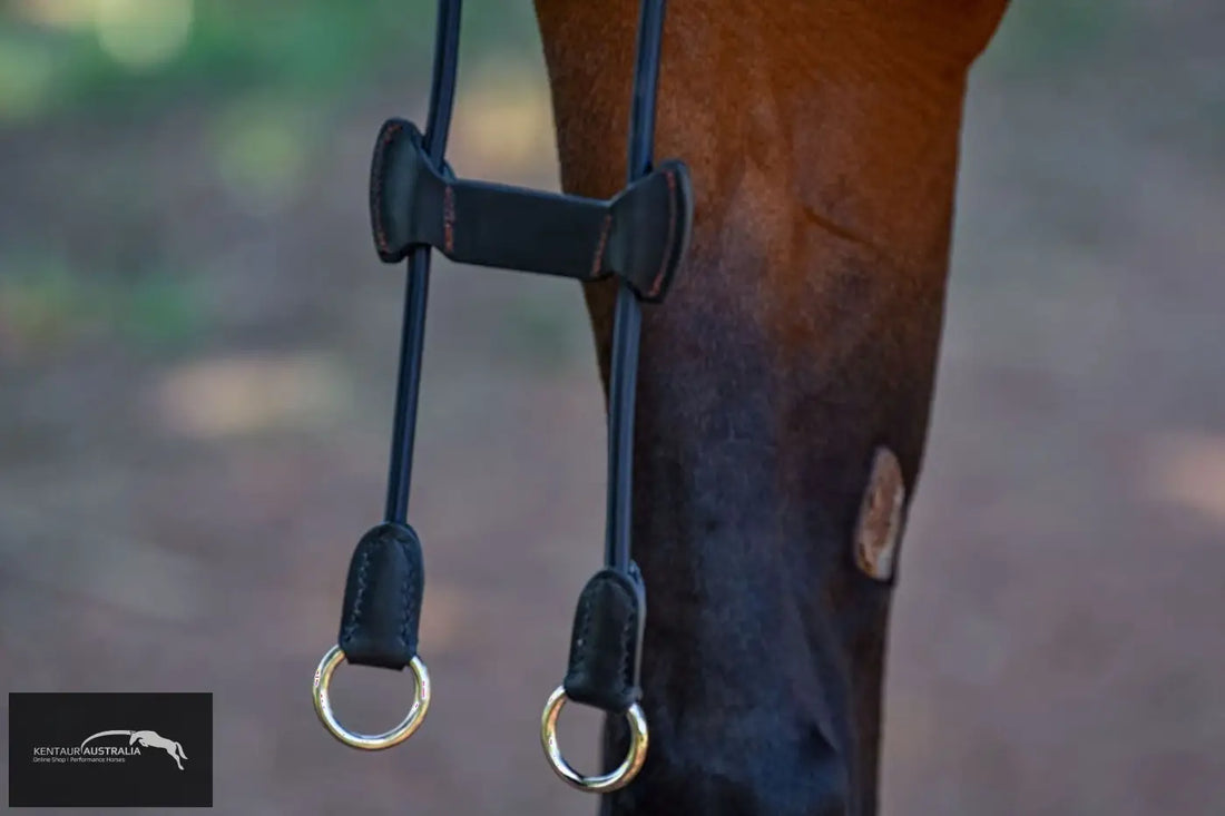 Kentaur ’Elastic’ Martingale Breastplates