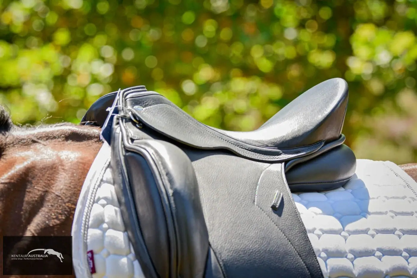 Kentaur ’Elektra’ Dressage Saddle Dressage Saddles
