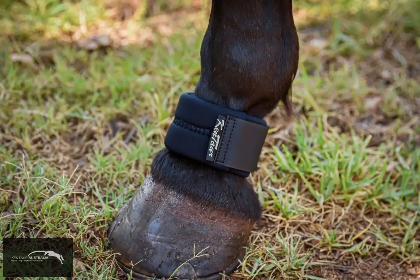 Kentaur Fetlock Belt Black Bell Boots