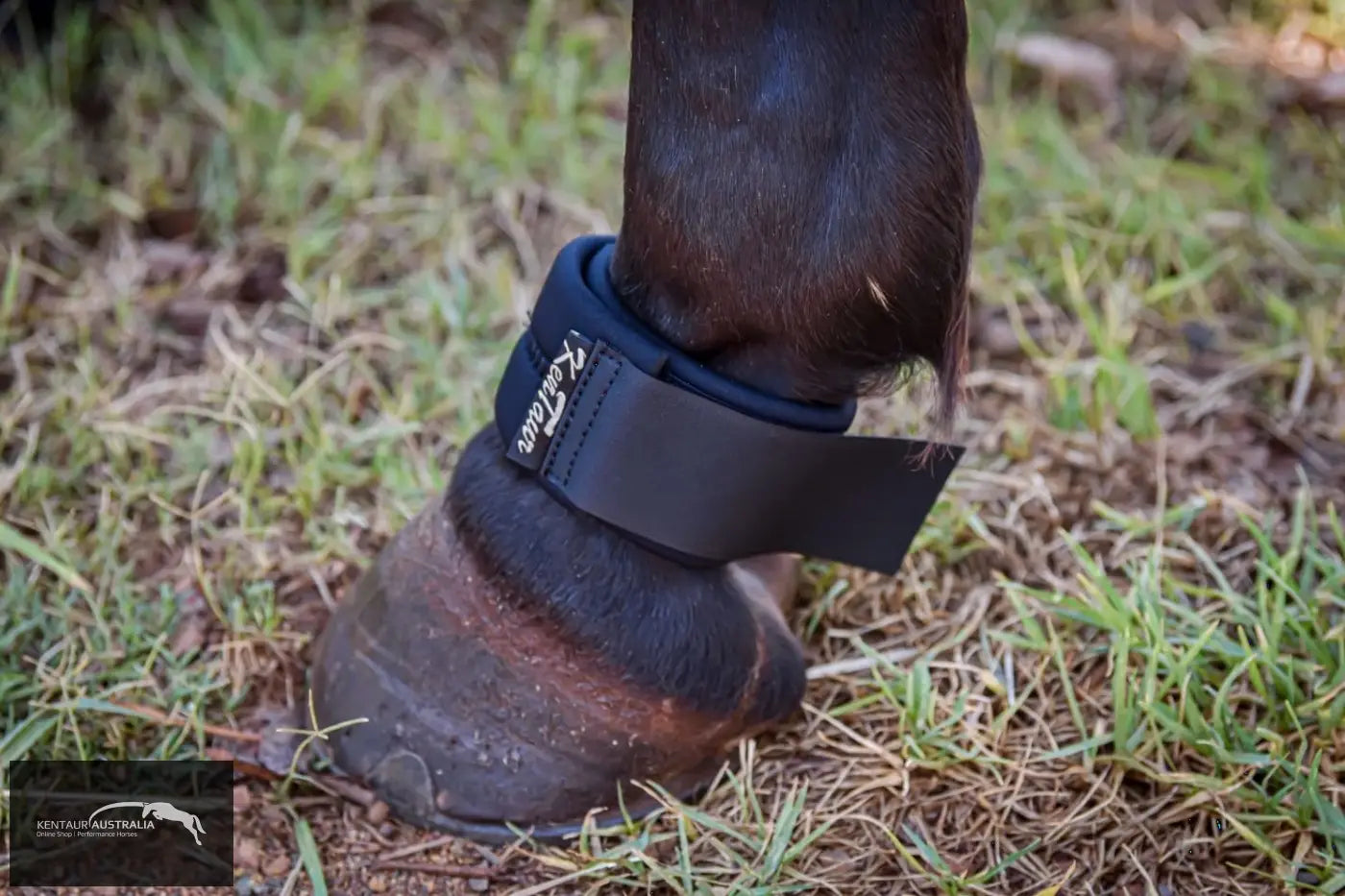 Kentaur Fetlock Belt Black Bell Boots