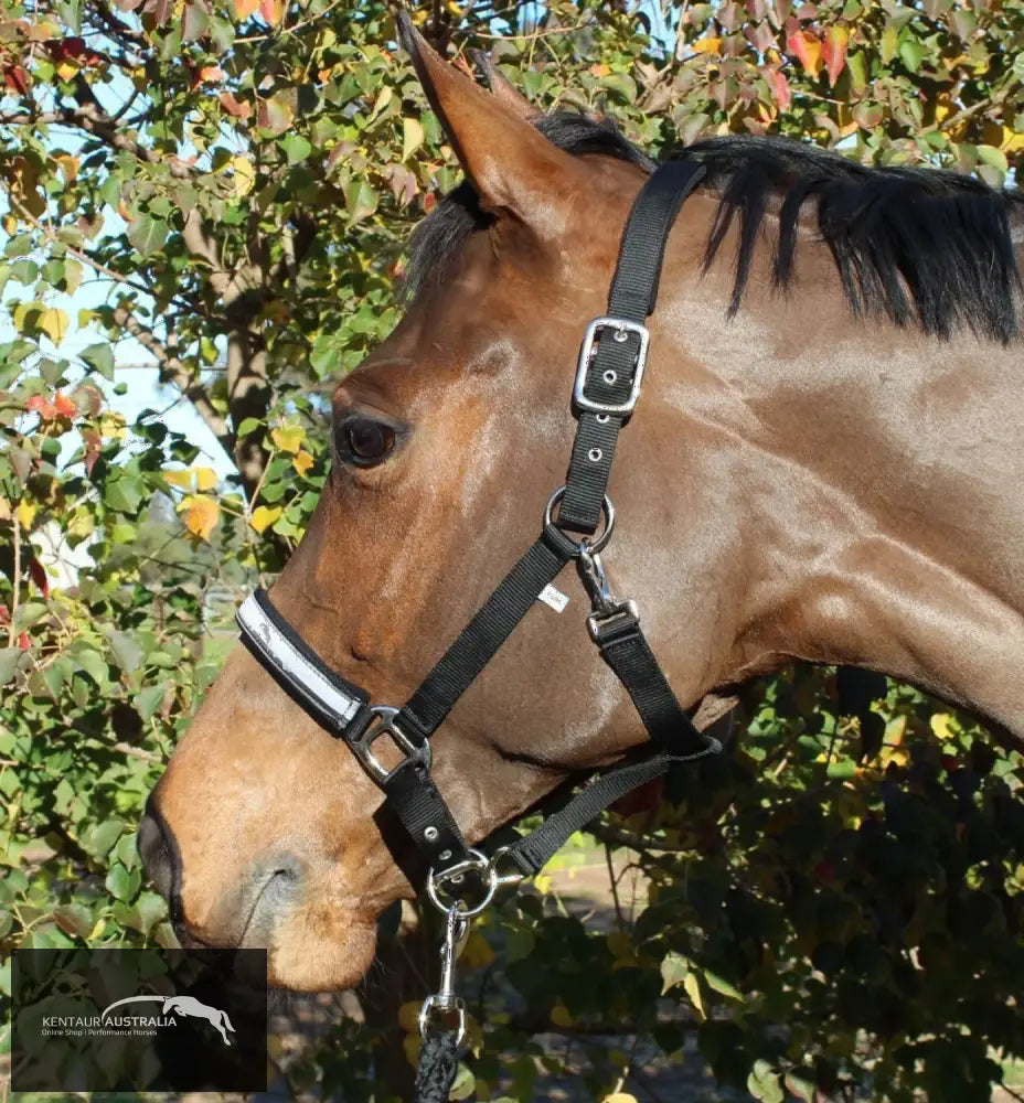 Kentaur ’Fleece’ Halter Full / Black Halters &amp; Flyveils