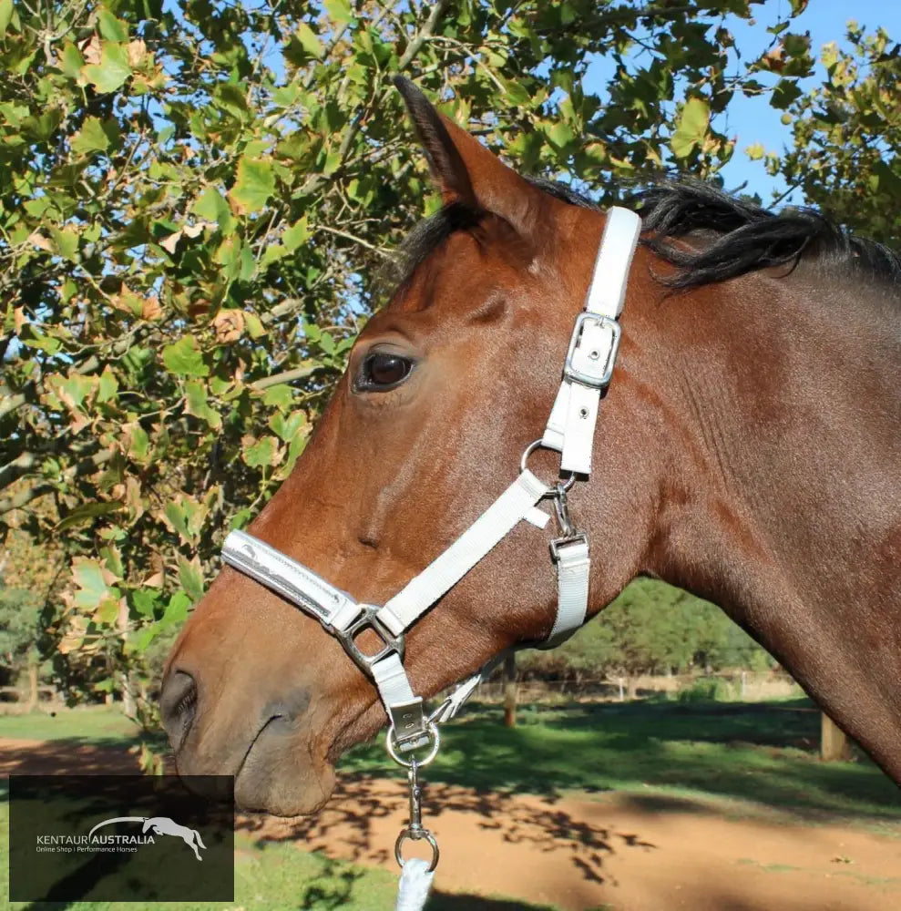 Kentaur ’Fleece’ Halter Full / Grey Halters &amp; Flyveils