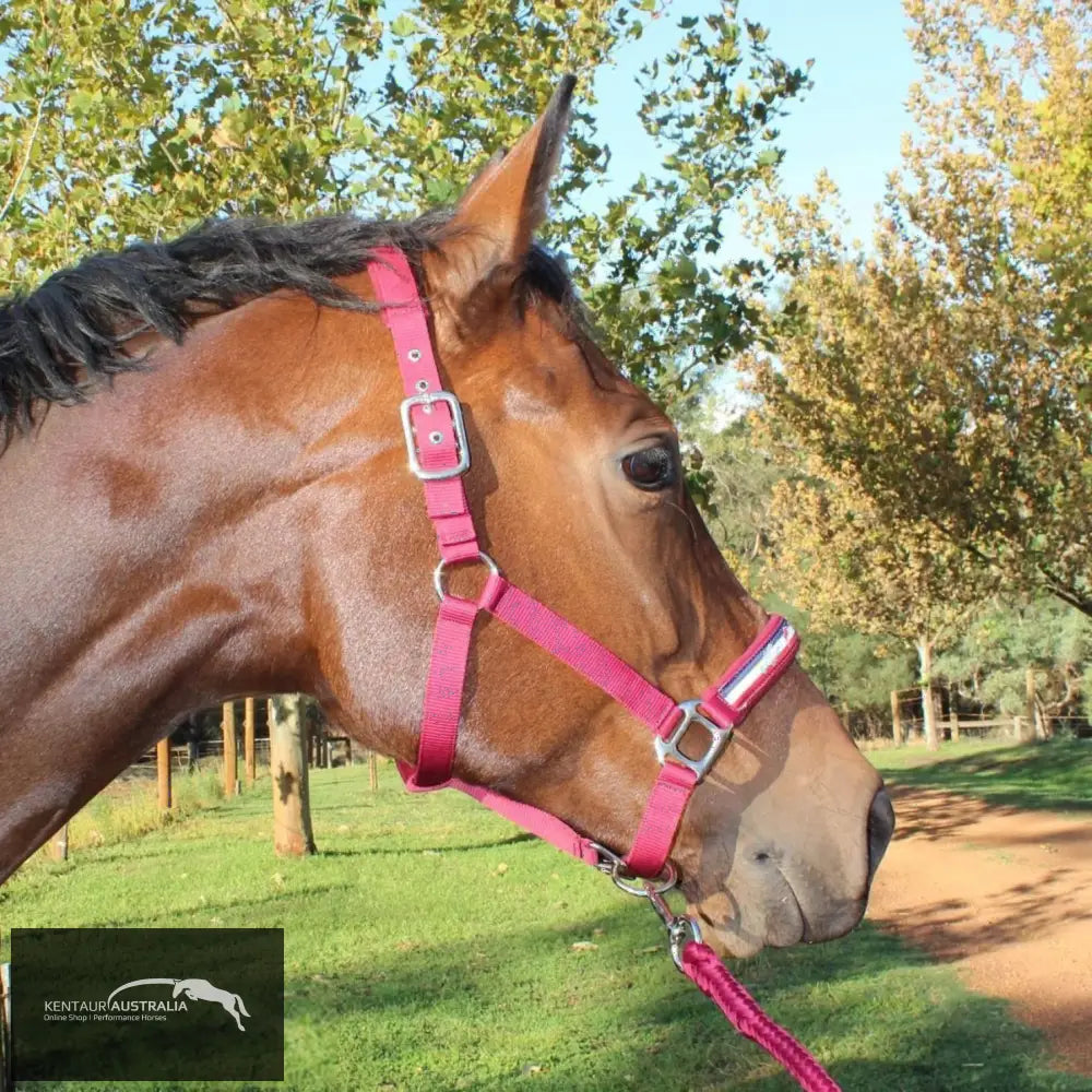 Kentaur ’Fleece’ Halter Full / Red Halters &amp; Flyveils