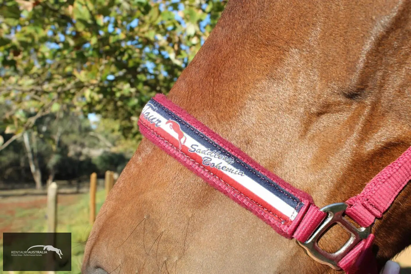 Kentaur ’Fleece’ Halter Halters &amp; Flyveils