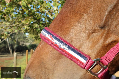 Kentaur ’Fleece’ Halter Halters &amp; Flyveils