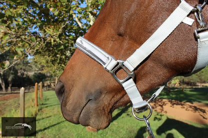 Kentaur ’Fleece’ Halter Halters &amp; Flyveils