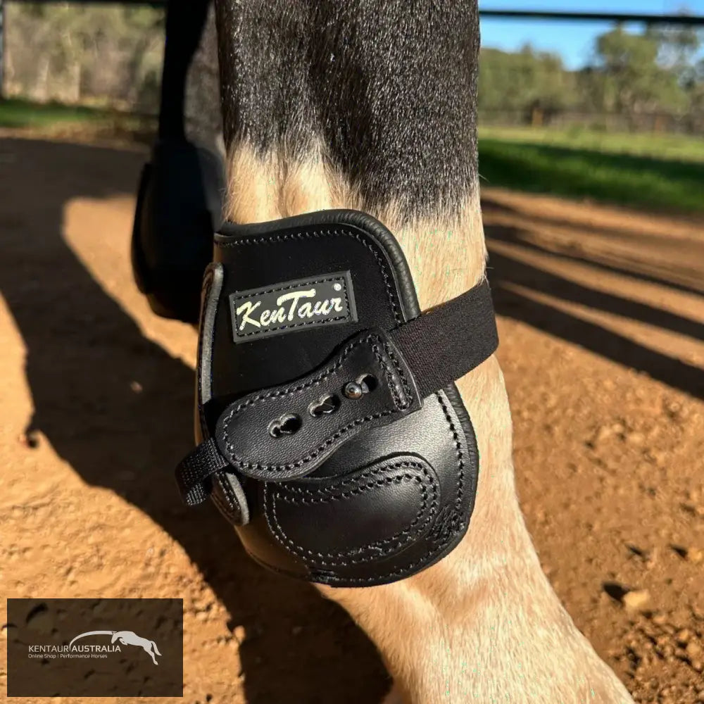 Kentaur ’Flicker 14cm’ Hind Boot Black / Full Jumping Boots