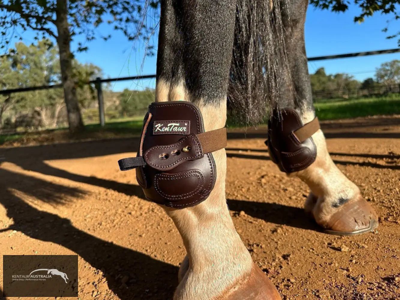 Kentaur ’Flicker 14cm’ Hind Boot Brown / Full Jumping Boots