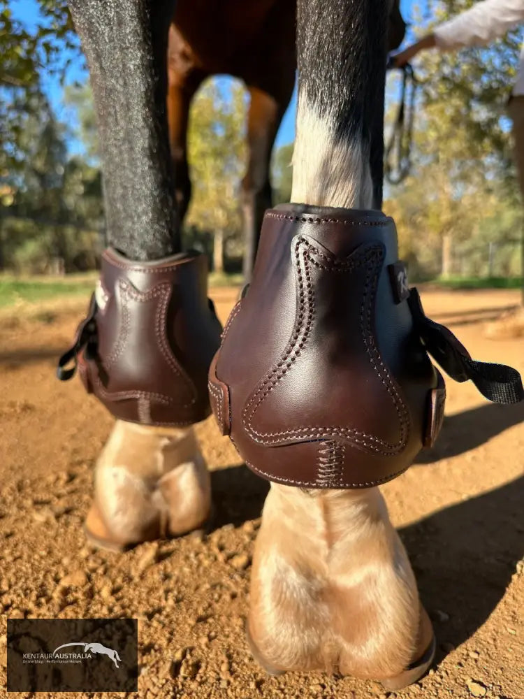 Kentaur ’Flicker 14cm’ Hind Boot Jumping Boots