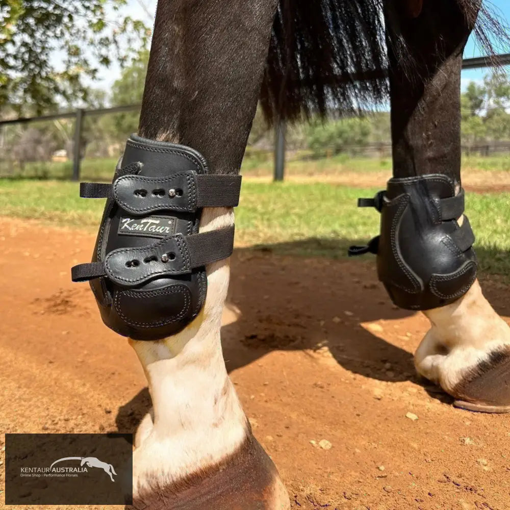 Kentaur ’Flicker 17cm’ Hind Boot Black / Full Jumping Boots