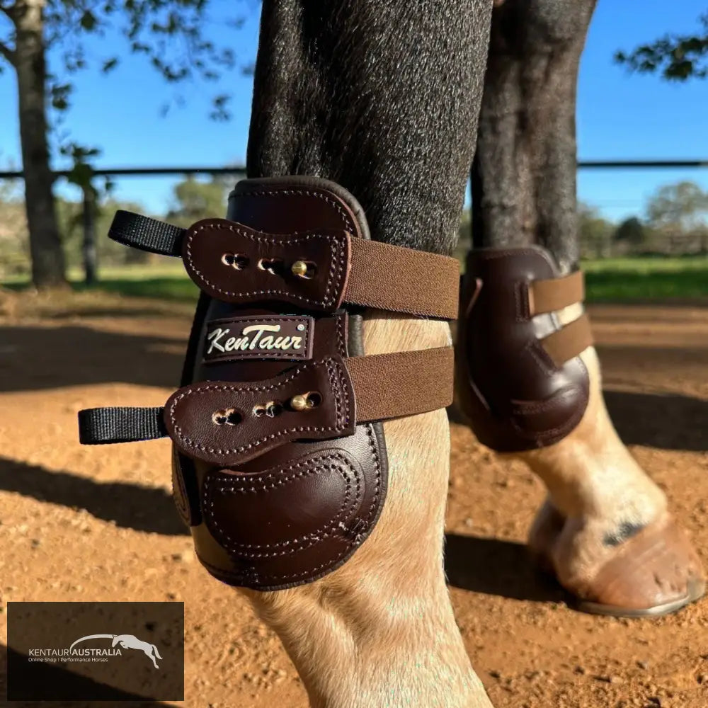 Kentaur ’Flicker 17cm’ Hind Boot Brown / Full Jumping Boots