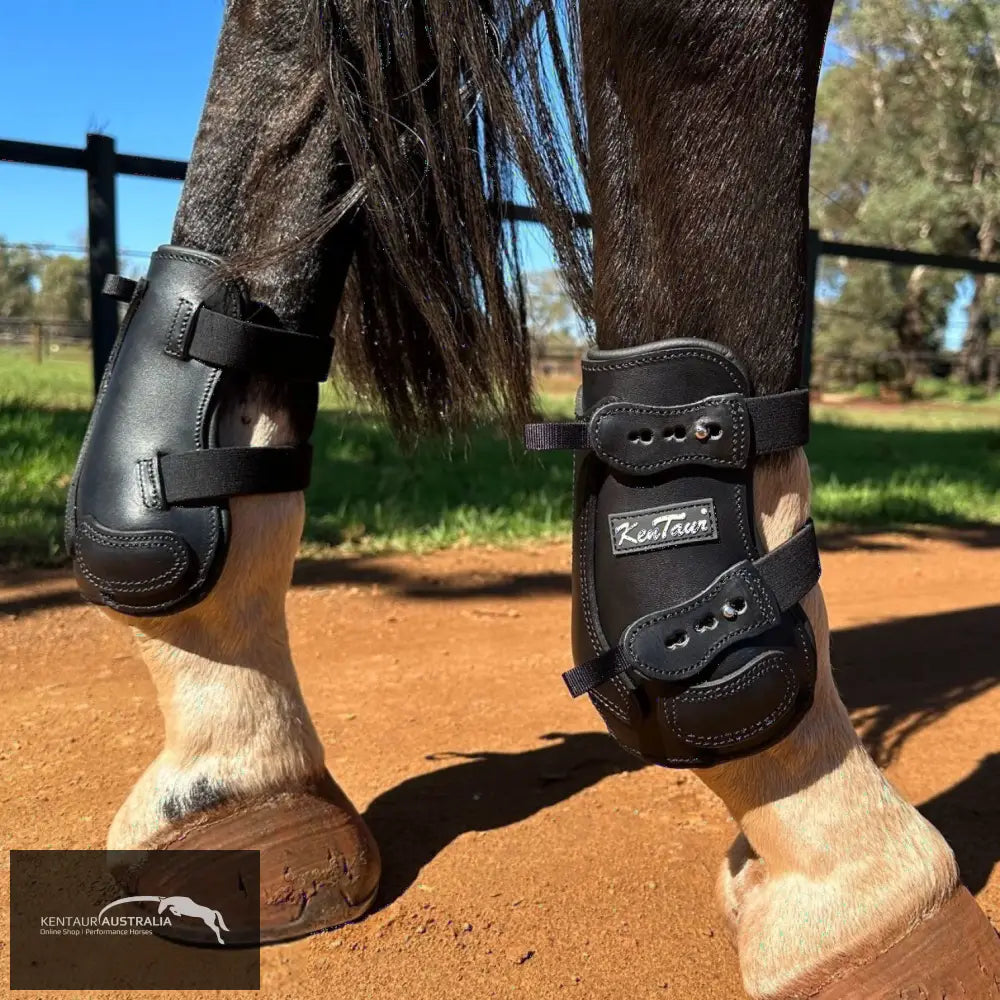 Kentaur ’Flicker 20cm’ Hind Boot Black / Full Jumping Boots