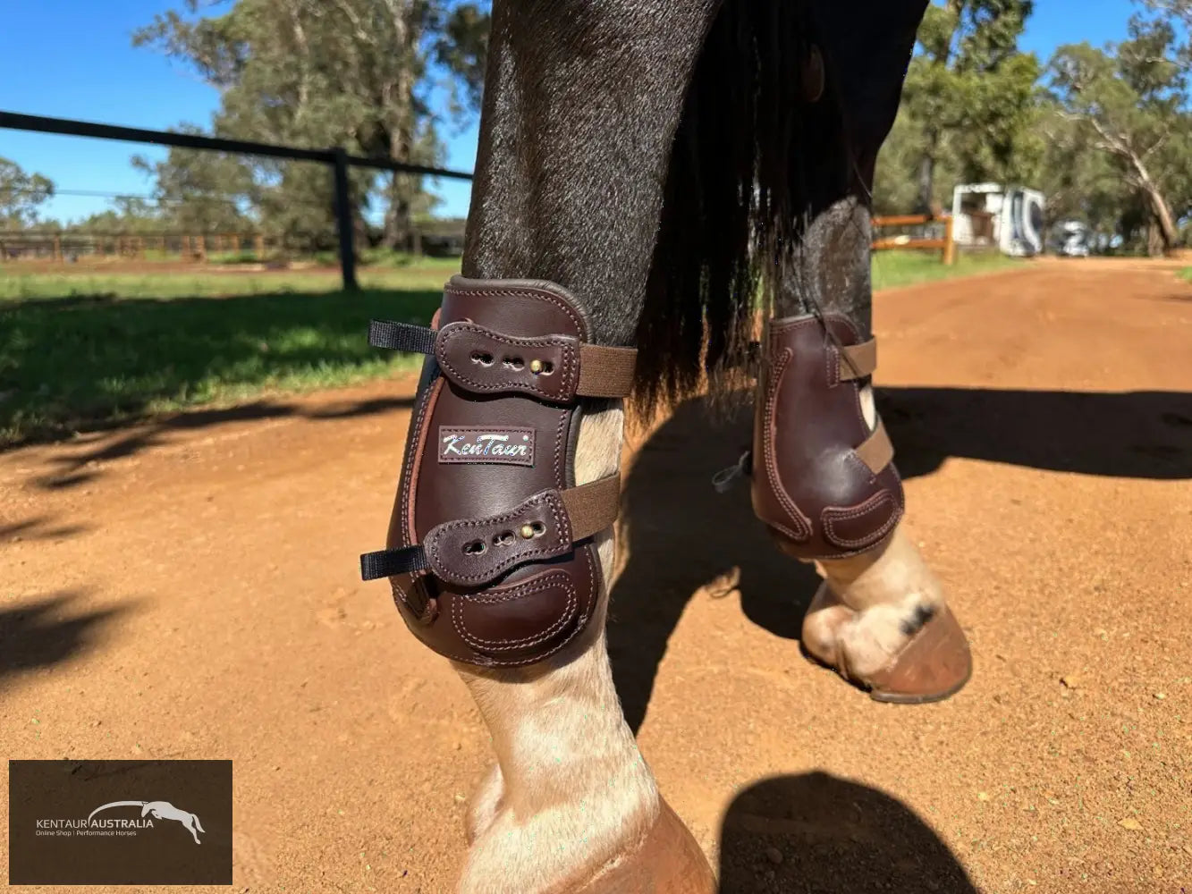 Kentaur ’Flicker 20cm’ Hind Boot Brown / Full Jumping Boots
