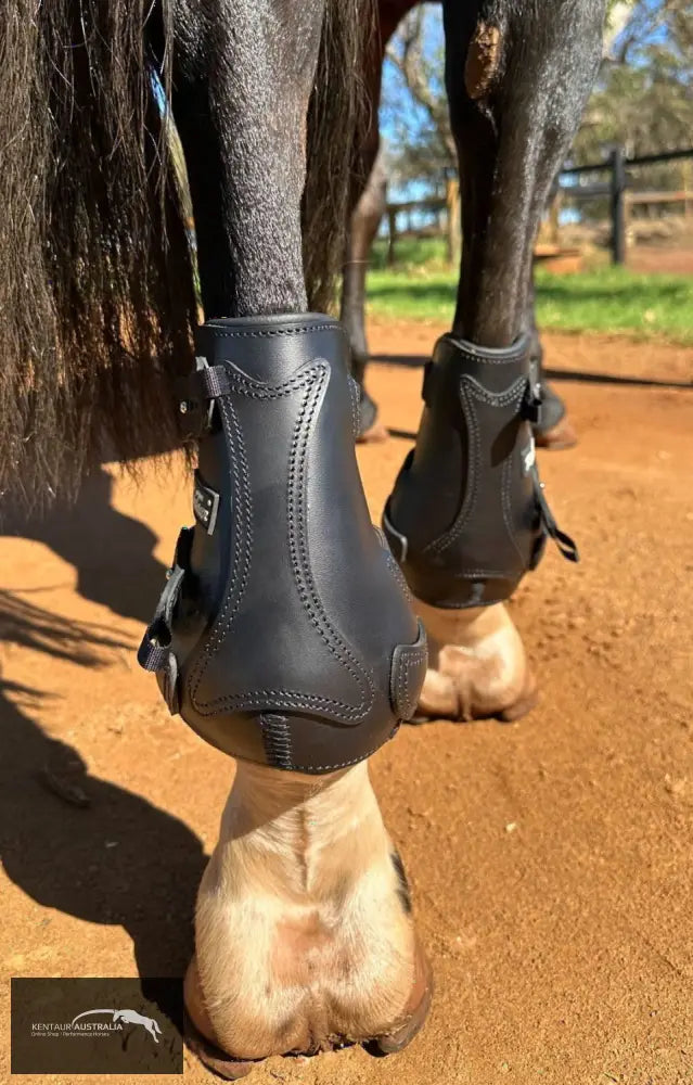 Kentaur ’Flicker 20cm’ Hind Boot Jumping Boots