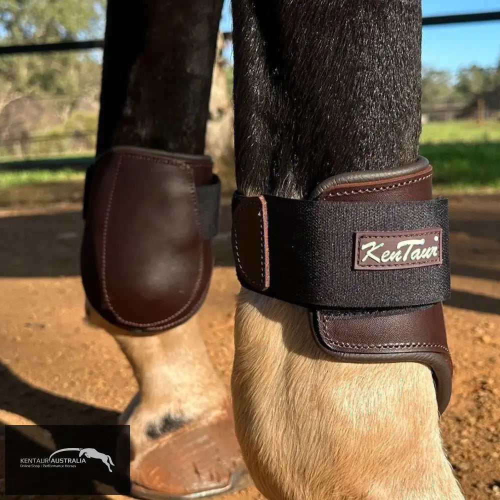 Kentaur ’Flicker Rear’ Hind Boot Brown / Full Jumping Boots