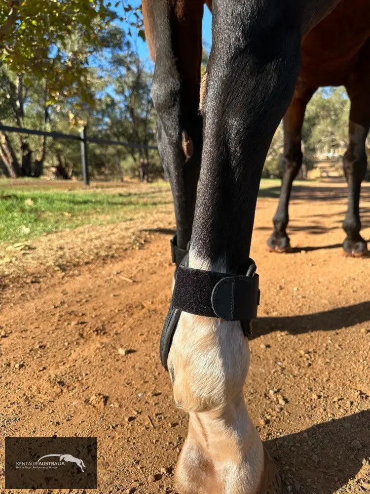 Kentaur ’Flicker Rear’ Hind Boot Jumping Boots
