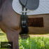 Kentaur ’Geneva’ Leather Girth - Black / 75cm - Dressage Girth