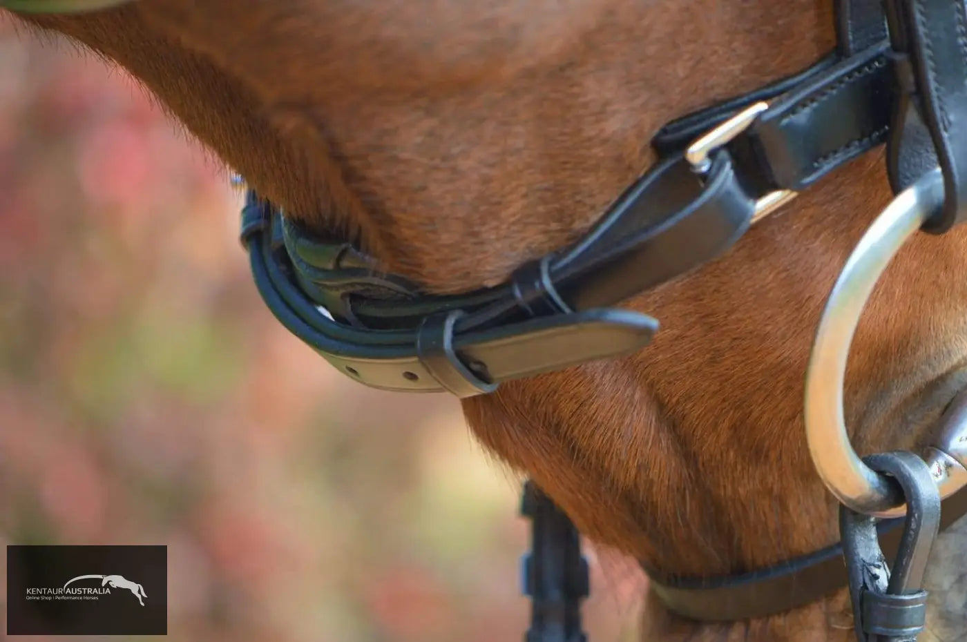 Kentaur Dressage Bridle Griffin Bridles