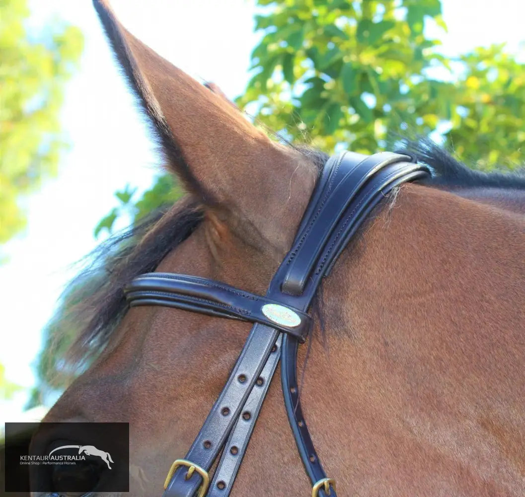 Kentaur Comfort Poll Bridle Brown / Full Bridles
