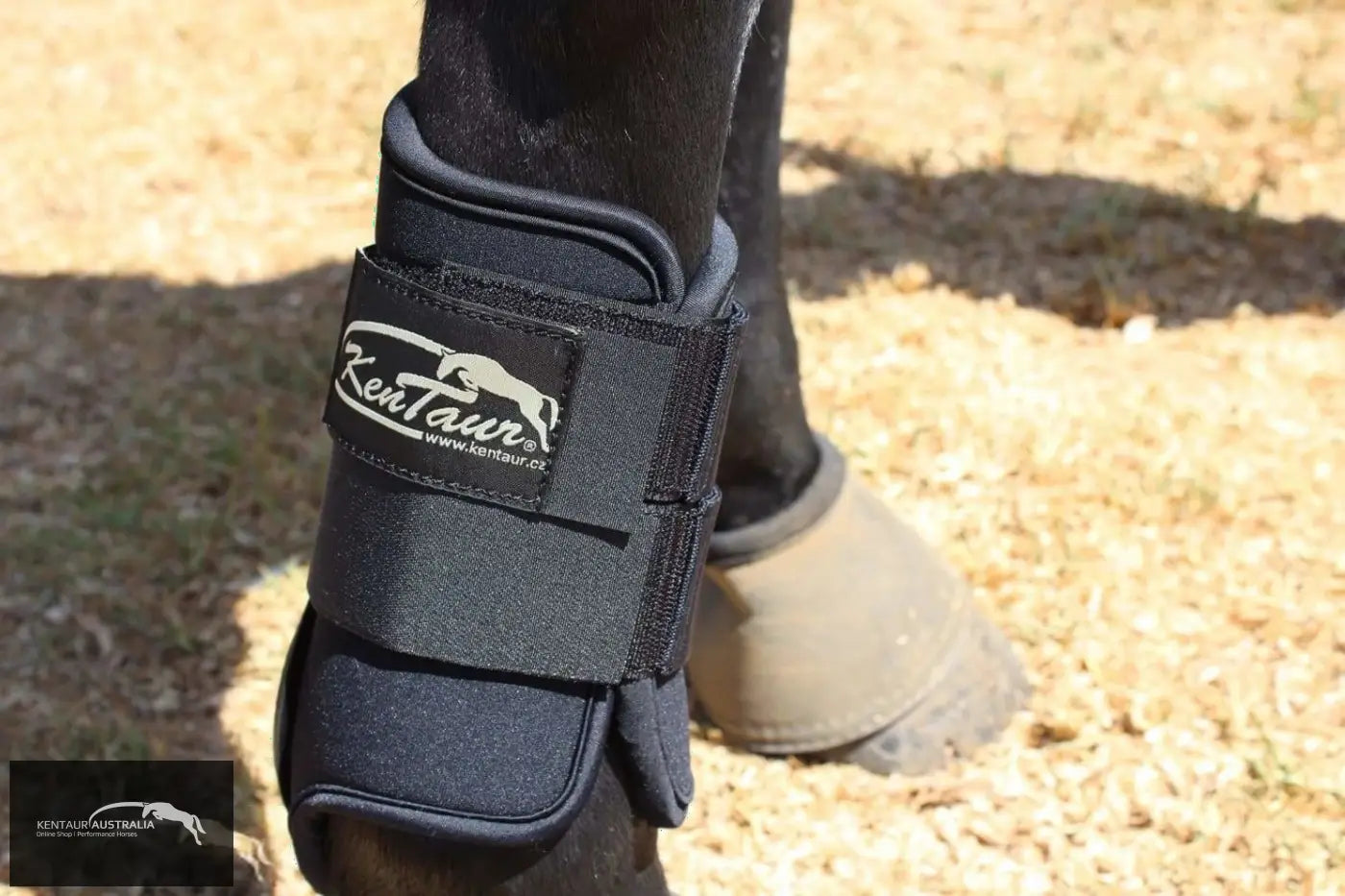 Kentaur Hind Neoprene Boots dressage boots