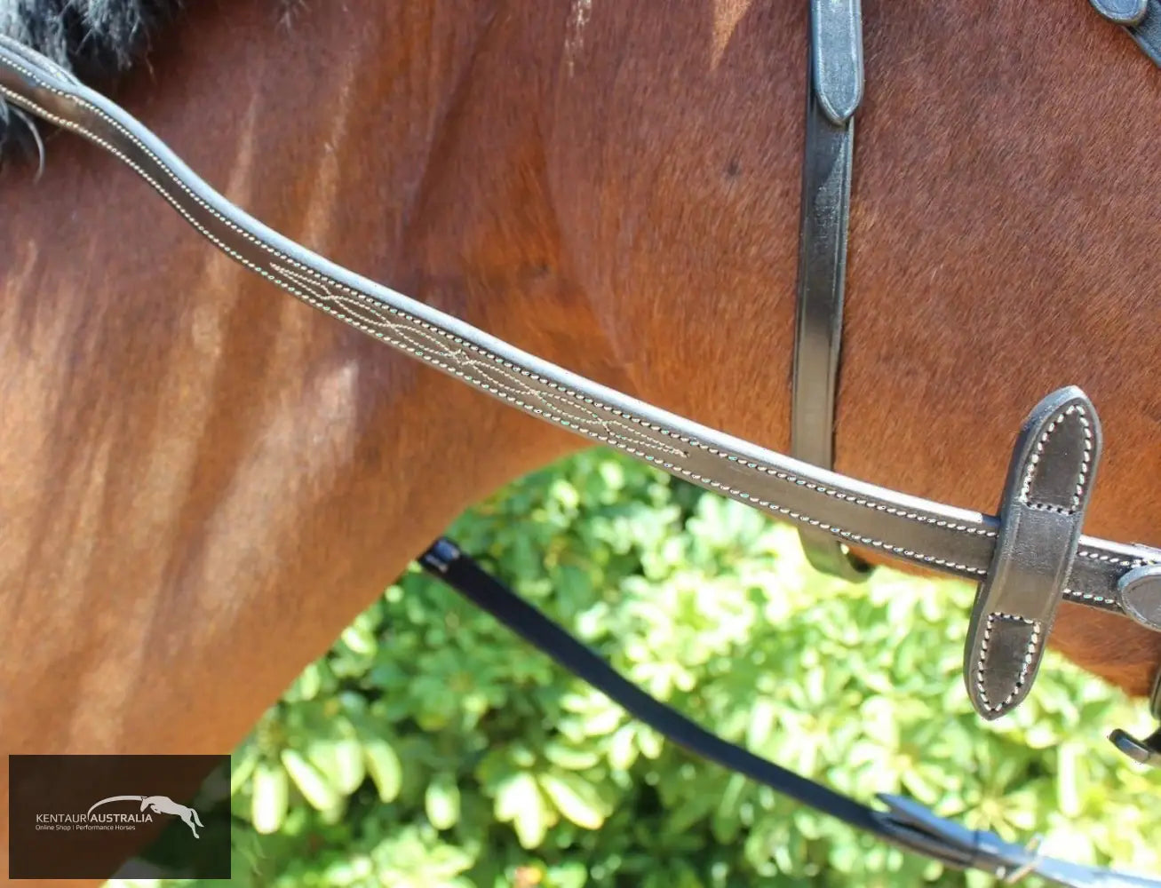 Kentaur Knoxville Bridle Bridles