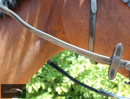 Kentaur Knoxville Bridle Bridles