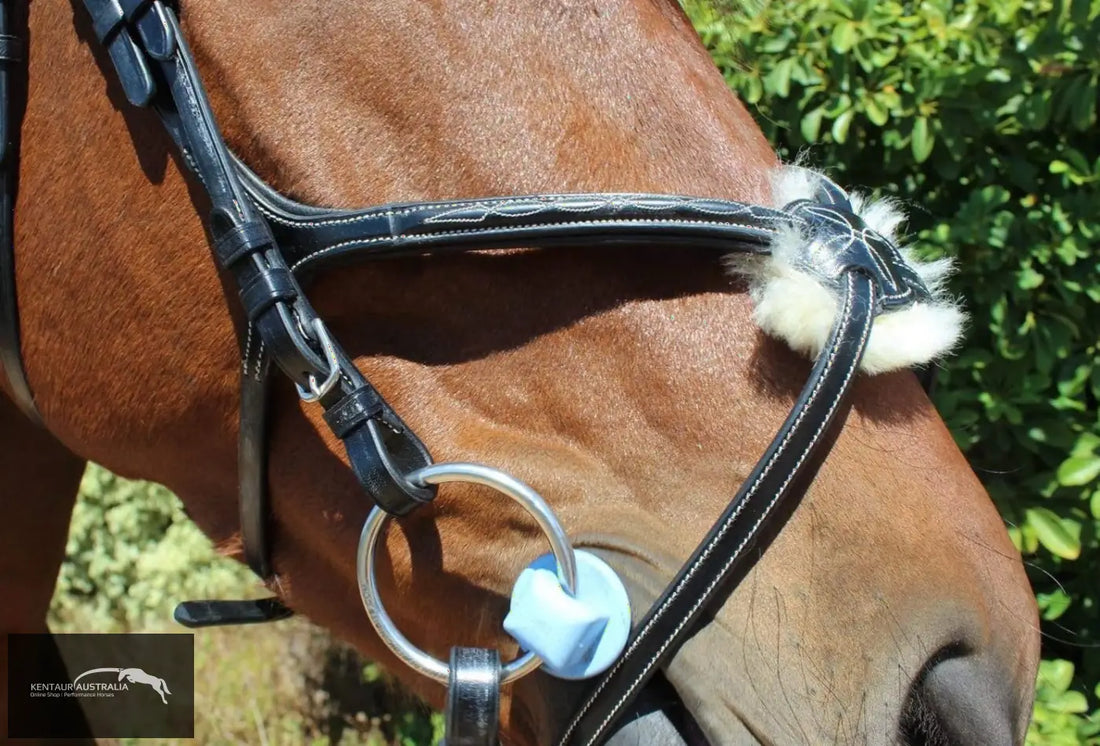 Kentaur Knoxville Bridle Bridles