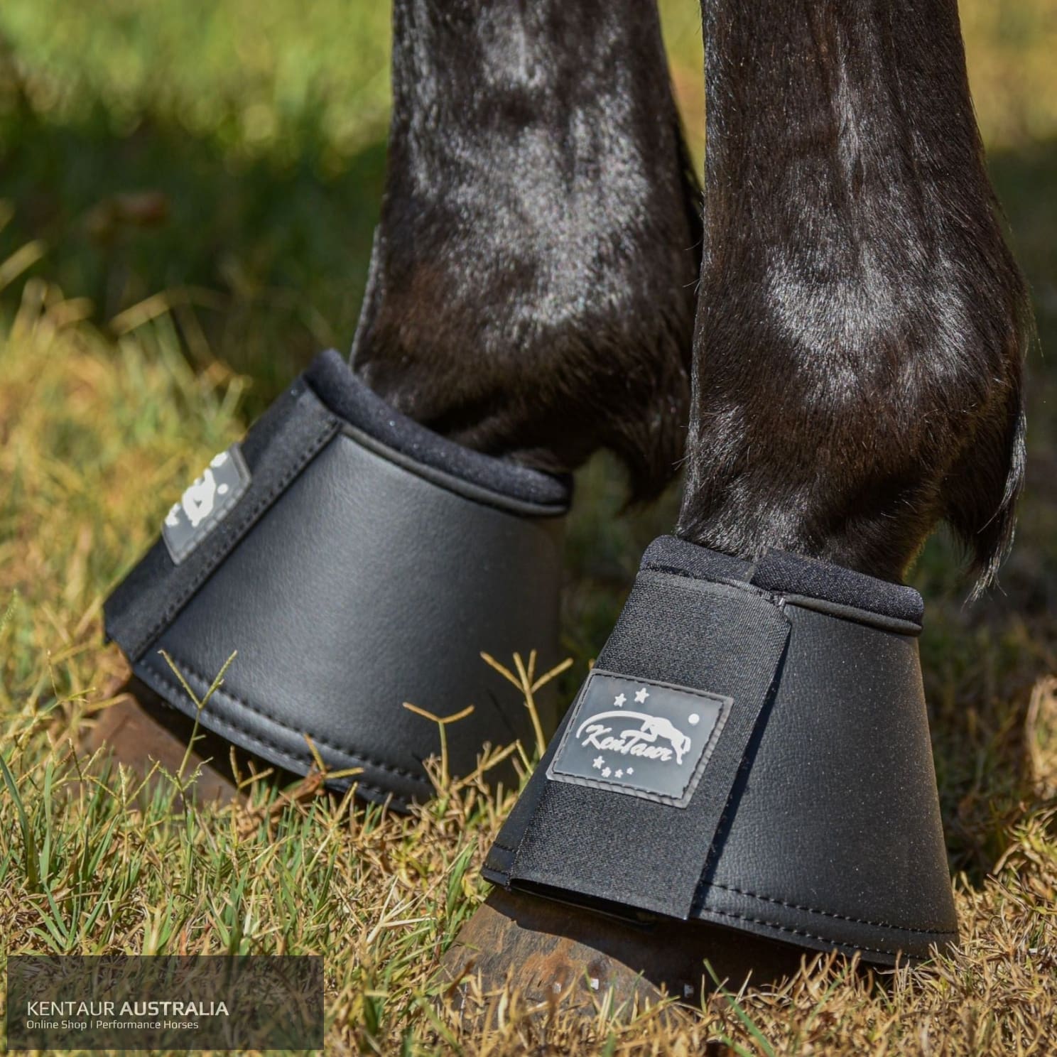 Kentaur Leather Bell Boots Black / XXL Bell Boots