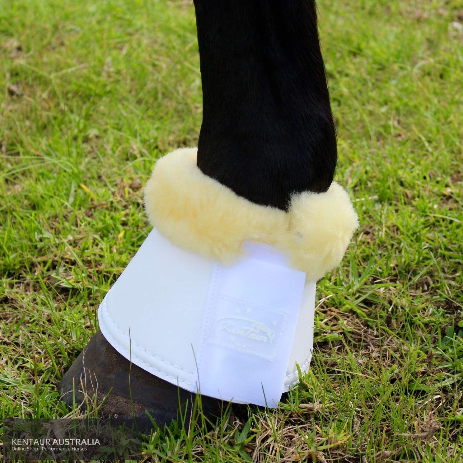 Kentaur Leather Bell Boots With Genuine Sheepskin White / Xxl (28Cm) Bell Boots