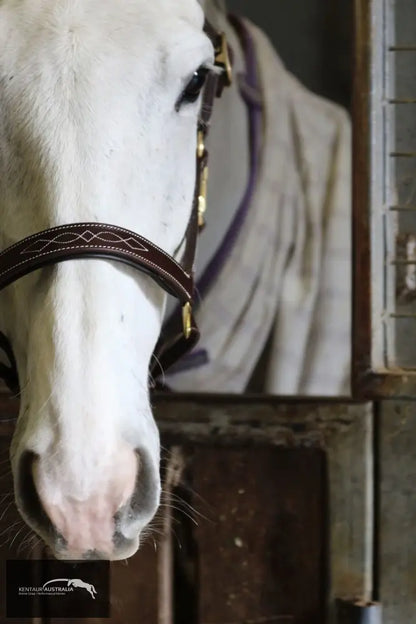 Kentaur Leather Halter With Stitching Halters &amp; Flyveils
