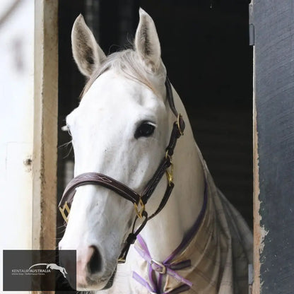 Kentaur Leather Halter With Stitching Halters &amp; Flyveils