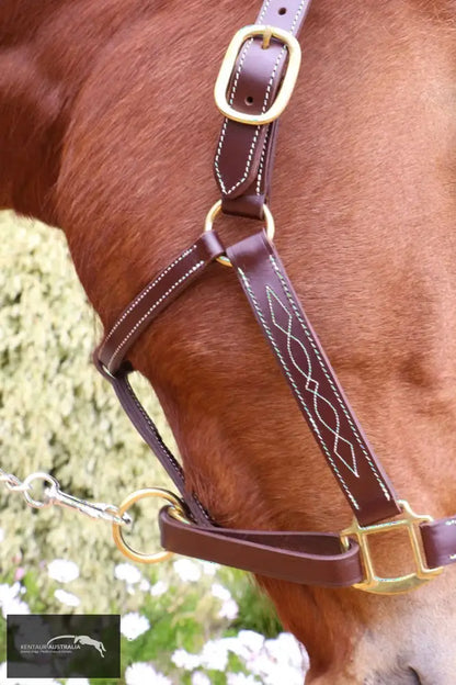 Kentaur Leather Halter With Stitching Halters &amp; Flyveils
