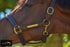Kentaur Leather Name Plate Halter Dark Brown / Full Halters & Flyveils