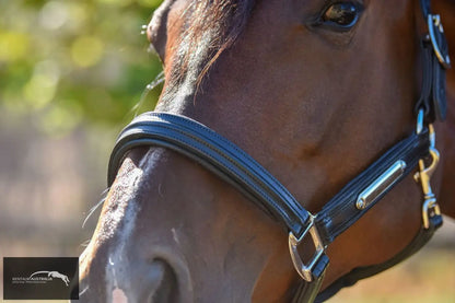 Kentaur Leather Name Plate Halter Halters &amp; Flyveils