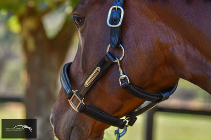 Kentaur Leather Name Plate Halter Halters &amp; Flyveils