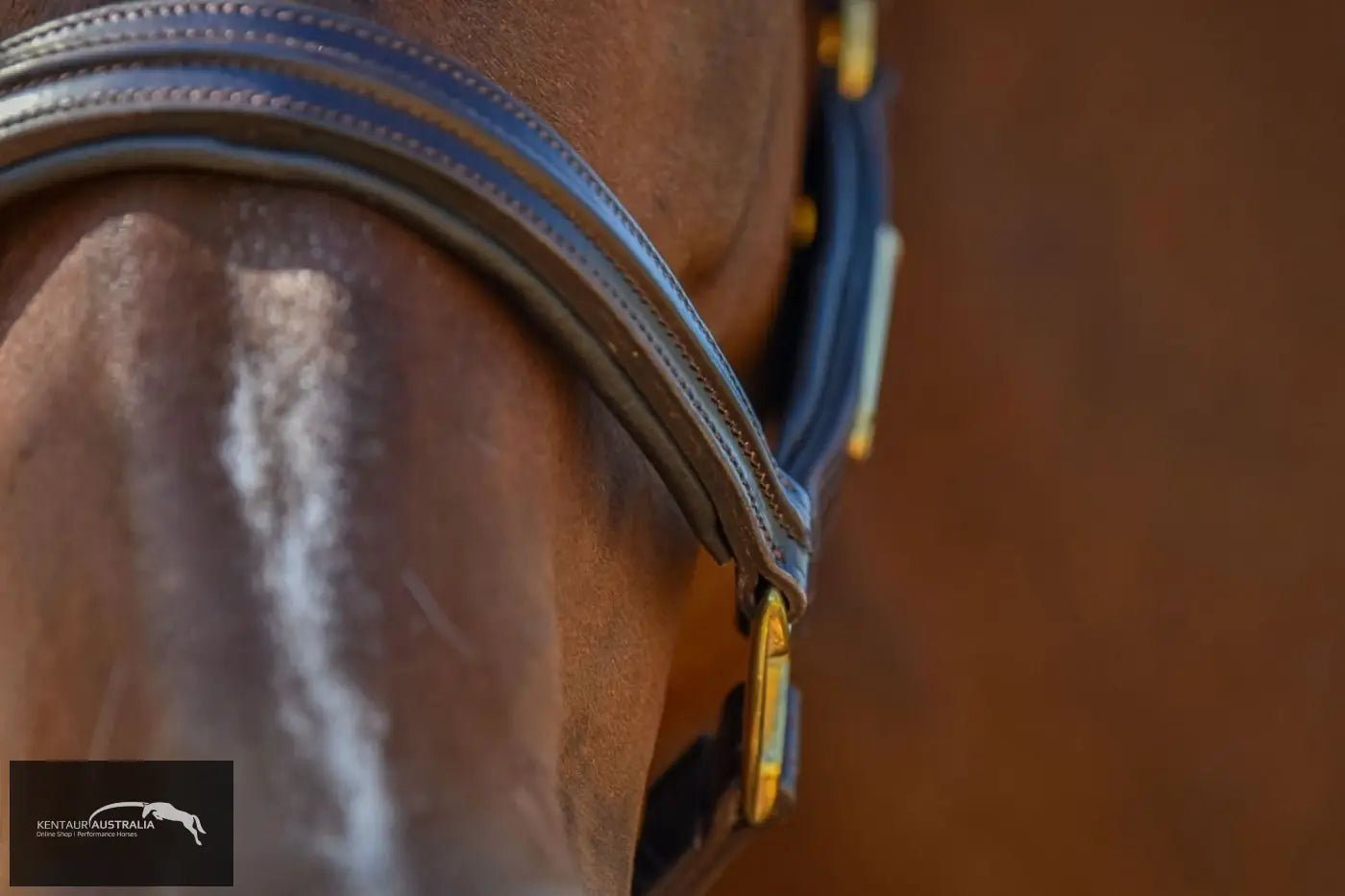 Kentaur Leather Name Plate Halter Halters &amp; Flyveils