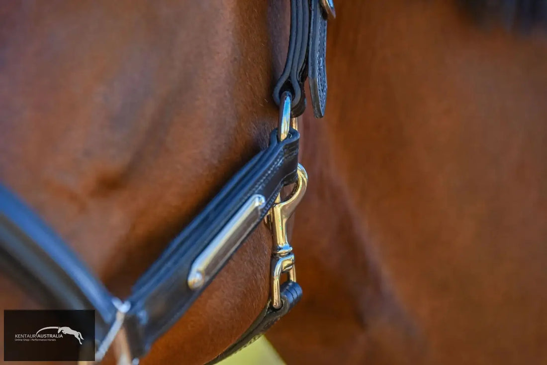 Kentaur Leather Name Plate Halter Halters &amp; Flyveils