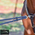 Kentaur Martingale Attachment Black Breastplates