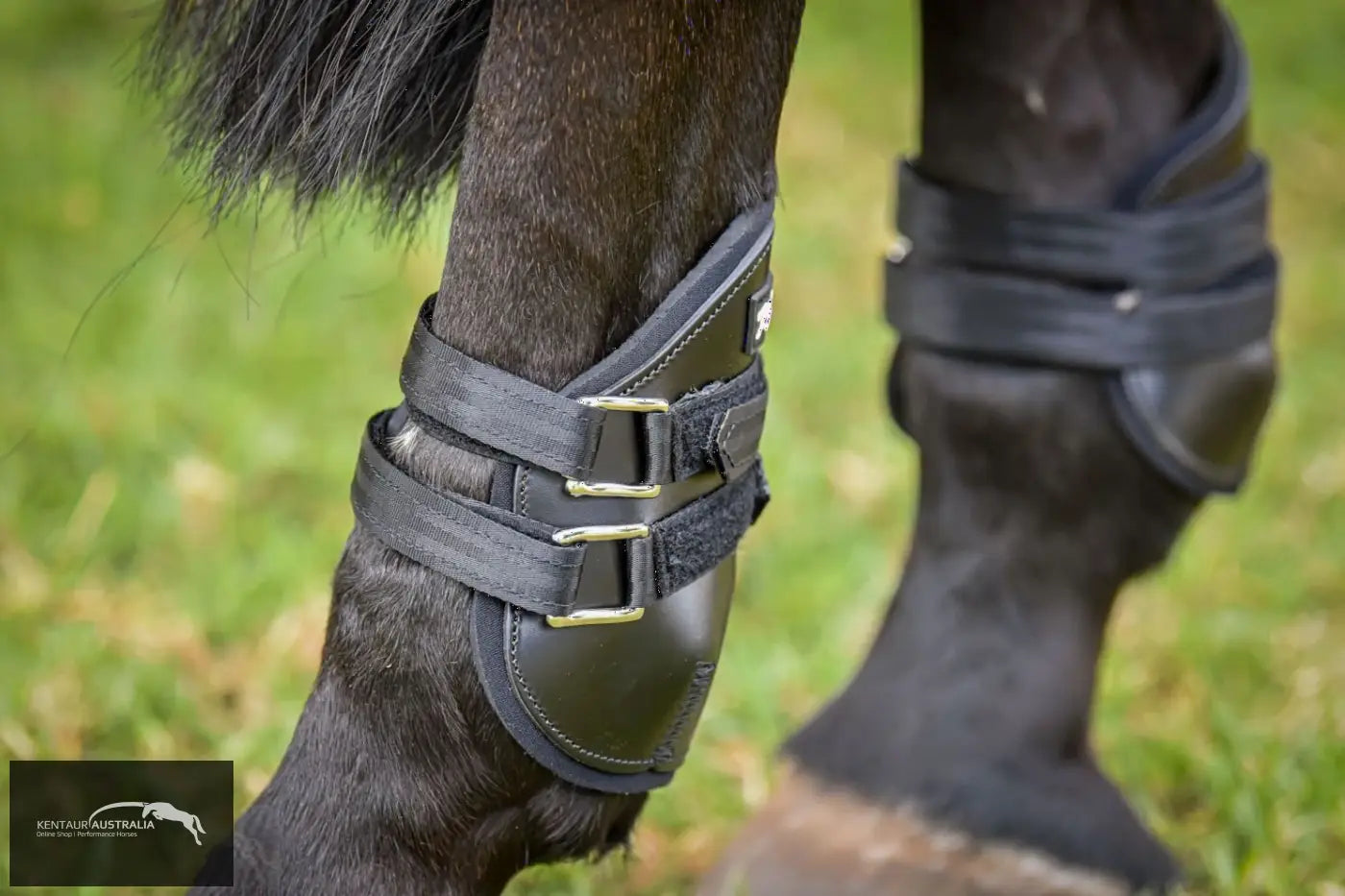 Kentaur Medium Leather Hind Pinch Boots Training Jumping Boots