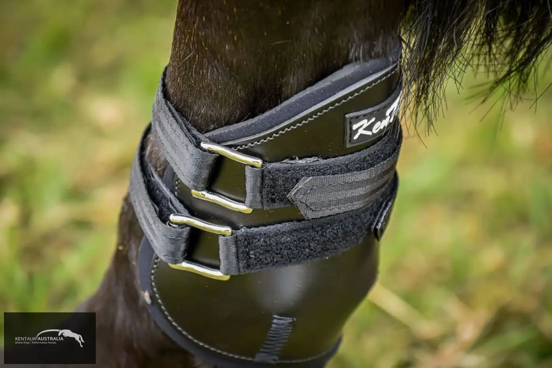 Kentaur Medium Leather Hind Pinch Boots Training Jumping Boots