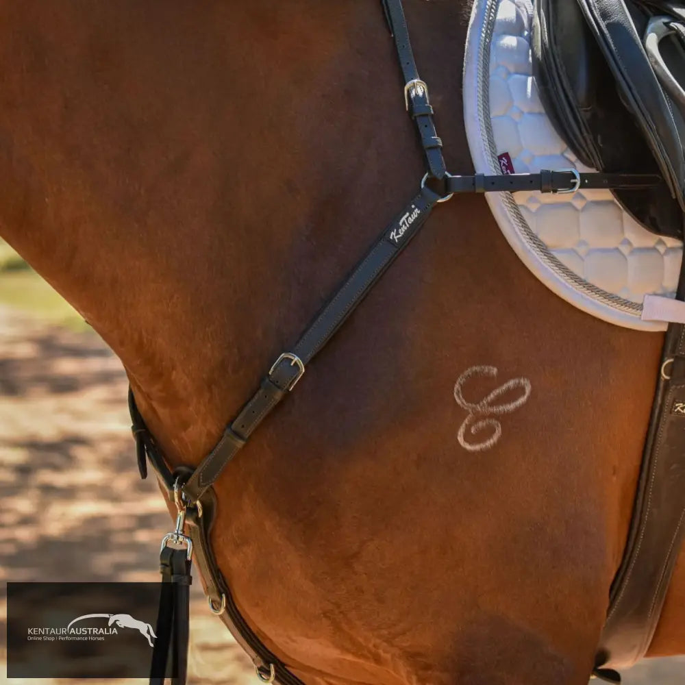 Kentaur ’Mons’ Breastplate Black / Full Breastplates