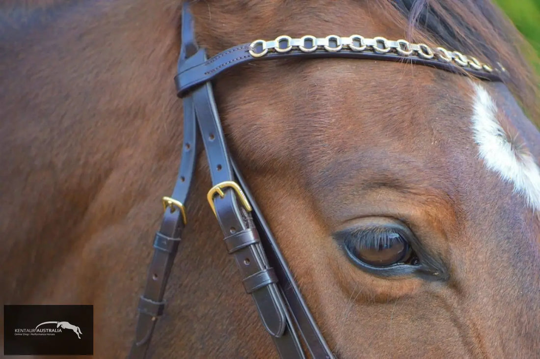 Kentaur Grackle Bridle With Chain Link Browband Bridles